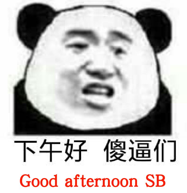 下午好傻逼们 Good afternoon sb