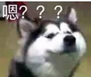 嗯？？？