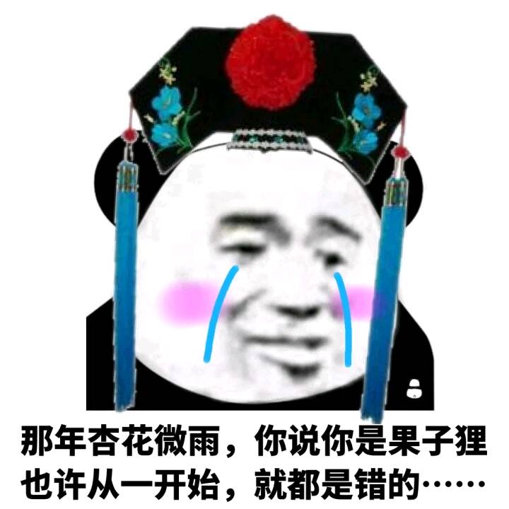 那年杏花微雨,你说你是果子狸，也许从一开始，就都是错的。