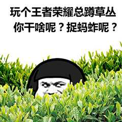 玩个王者荣耀总蹲草丛你干啥呢?捉蚂蚱呢?