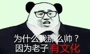 为什么我么帅?因为老子有文化