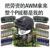 把劳资的AWM拿来整个P城都是我的