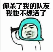 你杀了我的队友我也不想活了