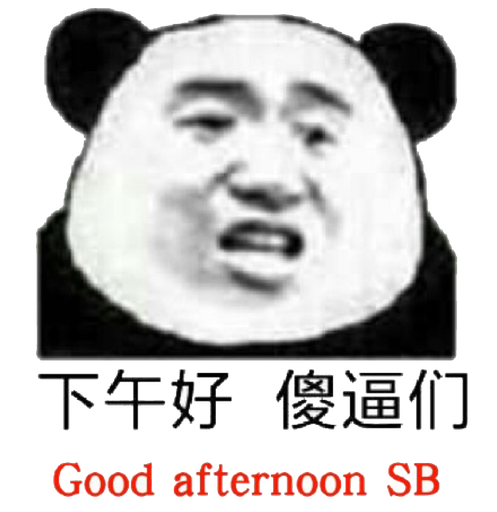 下午好，傻逼们 Good afternoon sb