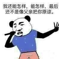 我还能怎样,能怎样,最后还不是像父亲把你原谅。