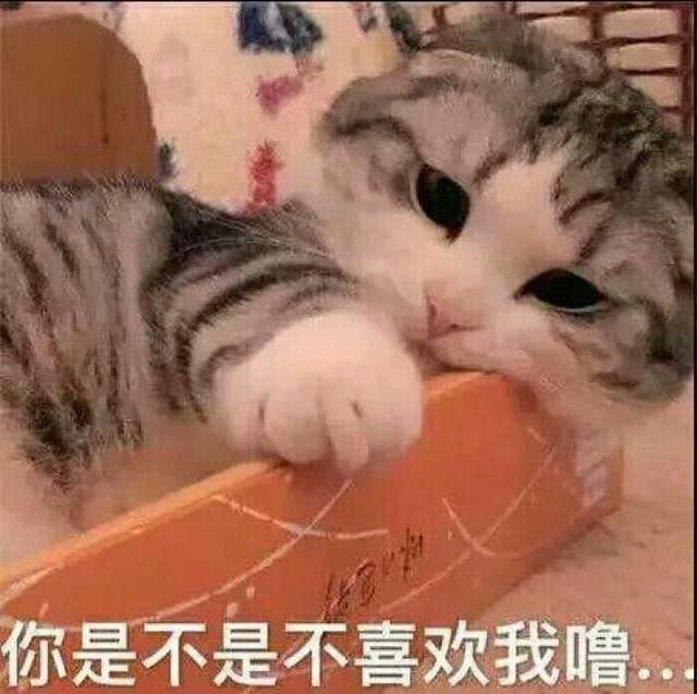 你是不是不喜欢我噜