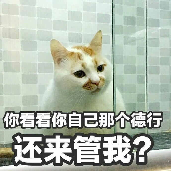 你看看你自己那个德行，还来管我?