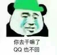 你去干嘛了？QQ也不回！