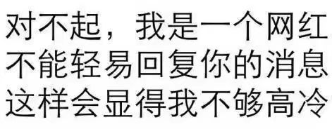 对不起，我是一个网红不能轻易回复你的消息，这样会显得我不够高冷