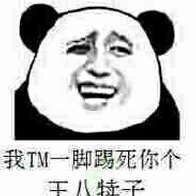 我TM一脚踢死你个