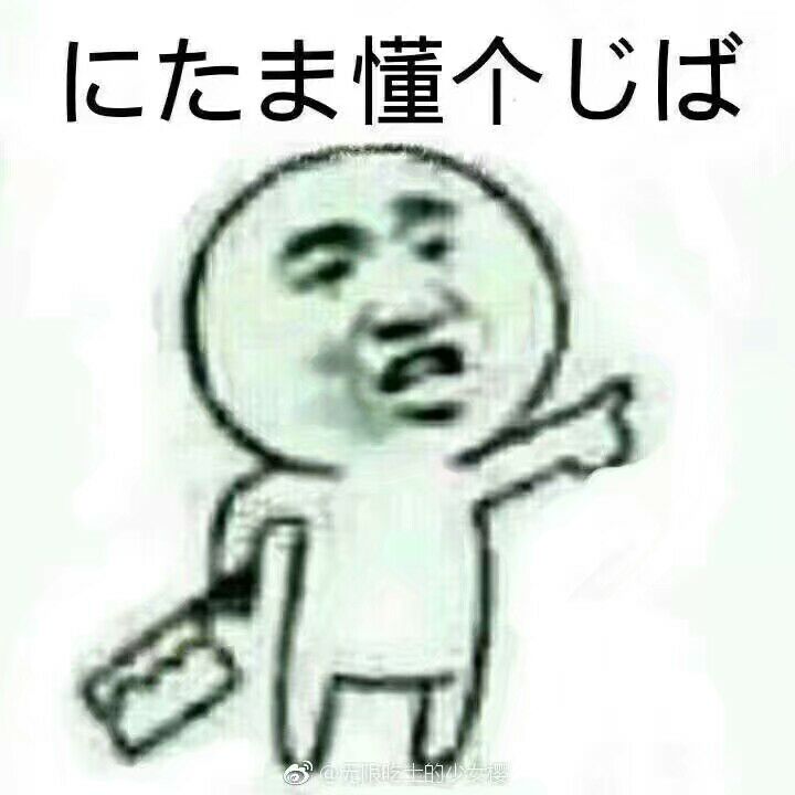 懂个球