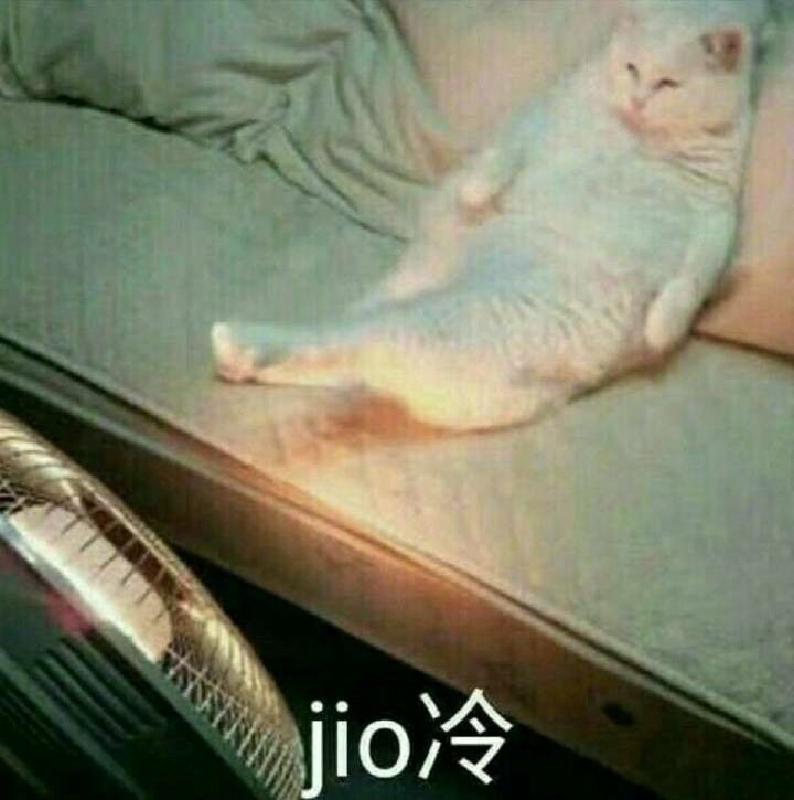 jo冷
