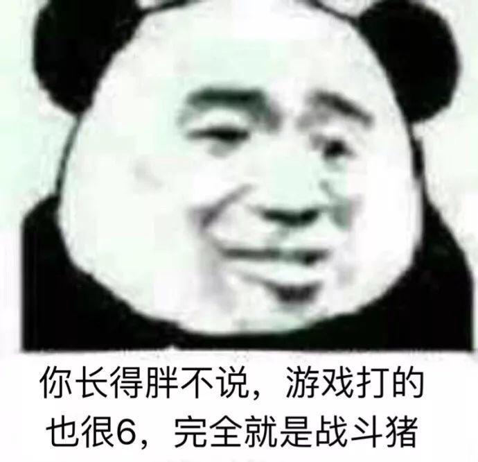 你长得胖不说,游戏打的也很6,完全就是战斗猪