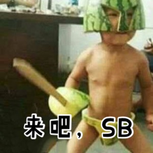 来吧!SB