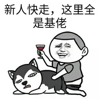 新人快走,这里全是基佬