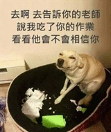 去啊，去告訴你的老師！