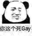 你这个死Gay