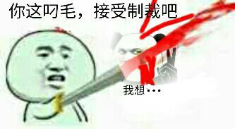 你这叼毛,接受制裁吧