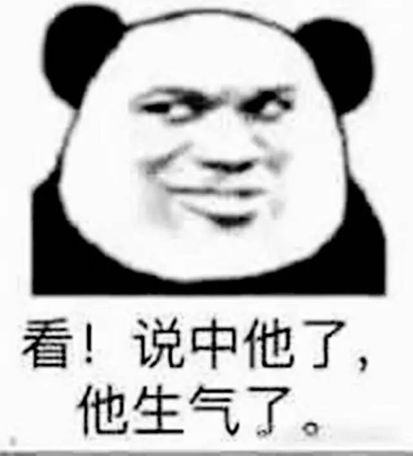 看!说中他了,他生气了。