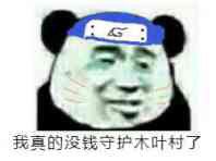 我真的没钱守护木叶村了