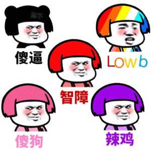 傻逼、智障、LOWB、辣鸡、傻狗！