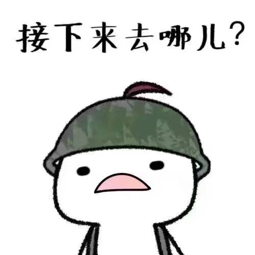 接下來去哪儿?