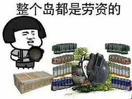 整个岛都是劳资的