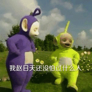 我赵日天还没怕过什么人