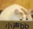 小声bb