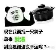 现在我要捉一只鸽子，拿來煲洒到底是谁这么幸运呢?
