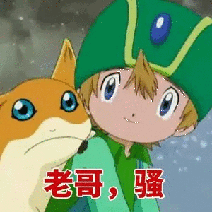 老哥骚