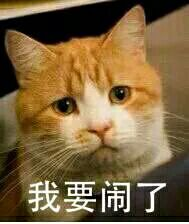 我要闹了