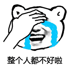 整个人都不好啦