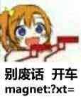 别废话 开车（magnet:?xt=）