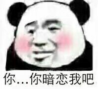 你.你暗恋我吧