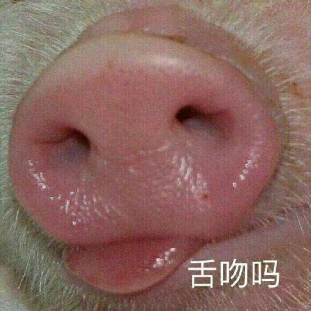 舌吻吗