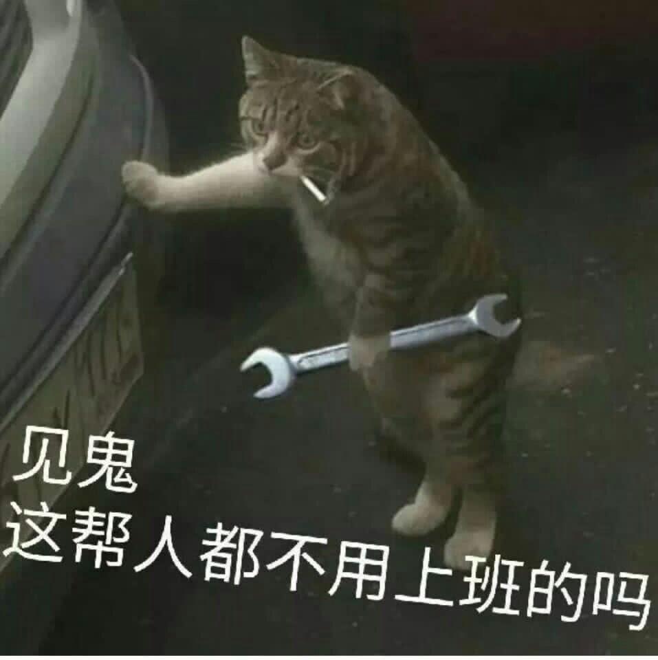 见鬼这帮人都不用上班的吗