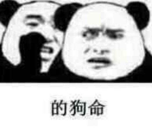 的狗命