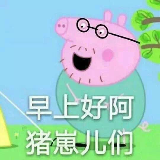 早上好阿，猪崽儿们