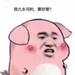 我九乡河的,要你管?