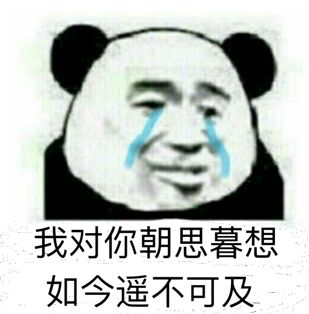 我对你朝思暮想，如今遥不可及