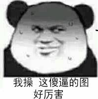 我操这傻逼的图好厉害