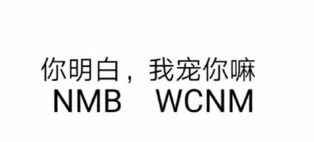 你明白,我宠你嘛NMB WCNM