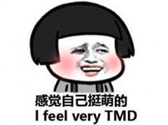 感觉自己挺萌的i feel very tmd