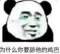 为什么你要舔他的鸡巴