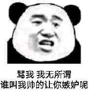 骂我我无所谓，谁叫我帅的让你嫉妒呢