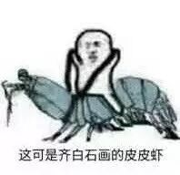 这可是齐白石画的皮皮虾