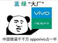 中国傻逼千千万 oppo vivo占一半