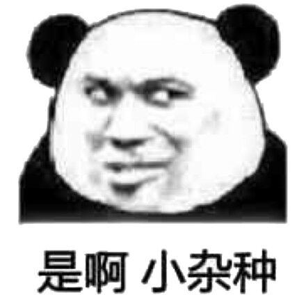 是啊，小杂种