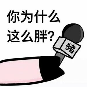 你为什么这么胖?